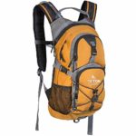 TETON Sports Oasis 1100 Hydration Pack; Free 2-Liter Hydration Bladder; For Backpacking, Hiking, Running, Cycling, and Climbing; Orange