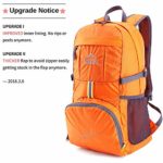 Venture Pal Lightweight Packable Durable Travel Hiking Backpack Daypack (Orange)