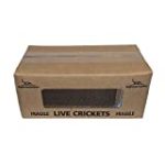 BuyFeederCrickets 500 Live Acheta Crickets (Medium (1/2″))