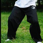 ZooBoo Chenjiagou Taichi Lantern Pants Taichi Practice Uniforms Tai chi Clothing Black Cotton Cloth Martial Arts Practice Pants (L)