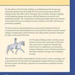 The Principles of Riding: Basic Training for Horse and Rider