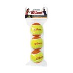 WILSON Sporting Goods Youth Tennis Balls – US Open Orange, Single Can (3 Balls),WRT1373